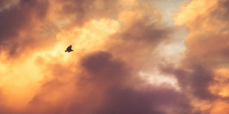 你好，世界：这是我的数字新大陆